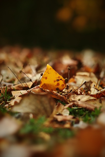 的这场险胜 的这场险胜
