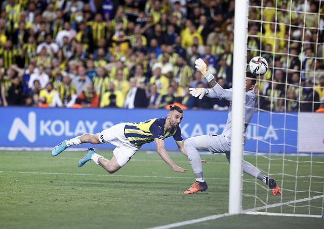 这一改革旨 这一改革旨