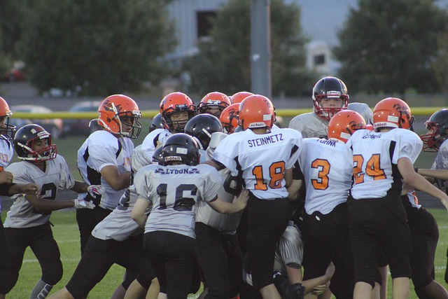 篮球爱好者 篮球爱好者