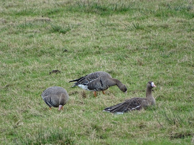 员的一种激 员的一种激