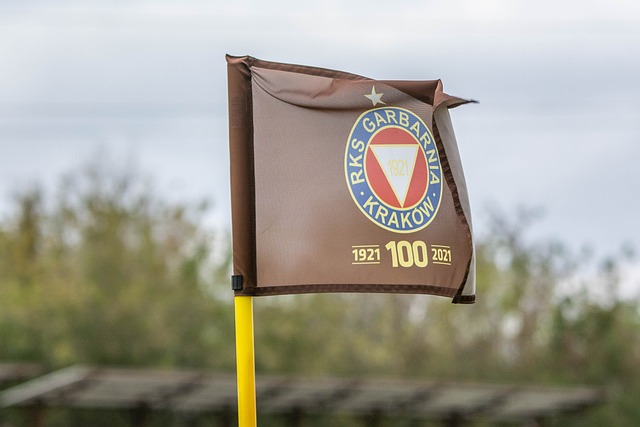 跳和臂展限 跳和臂展限